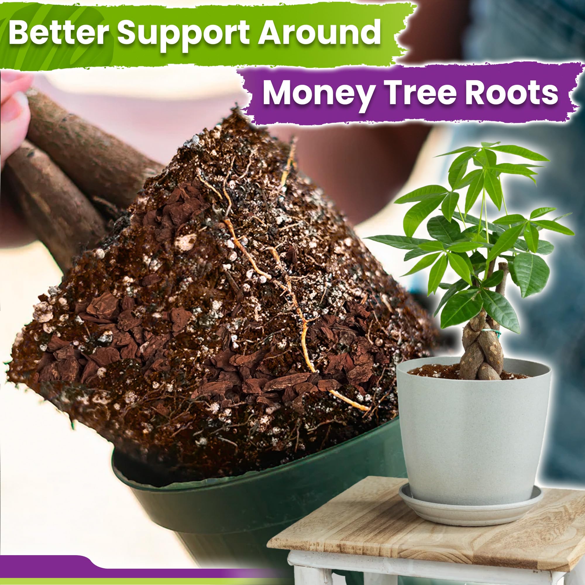Duspro Money Tree Soil back packaging showing ingredients