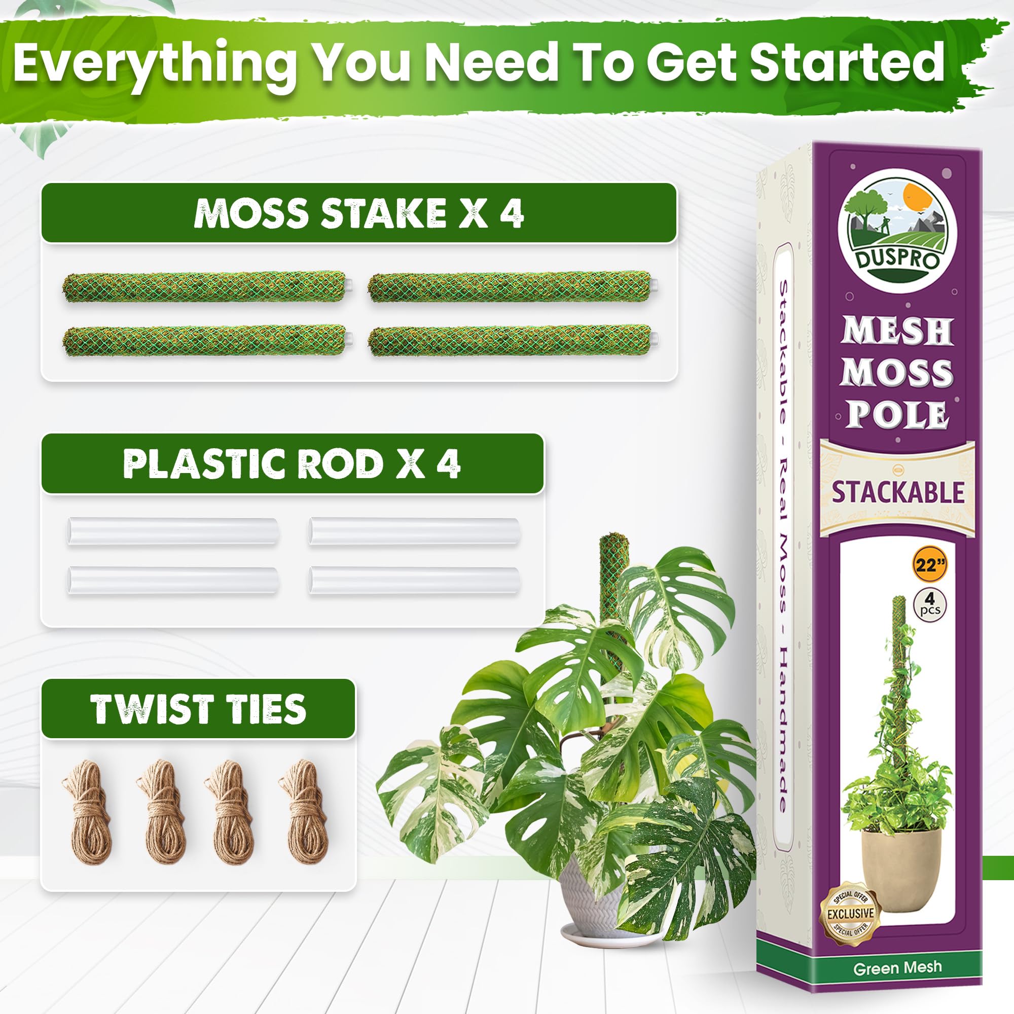 Duspro moss pole in a planter with climbing plants