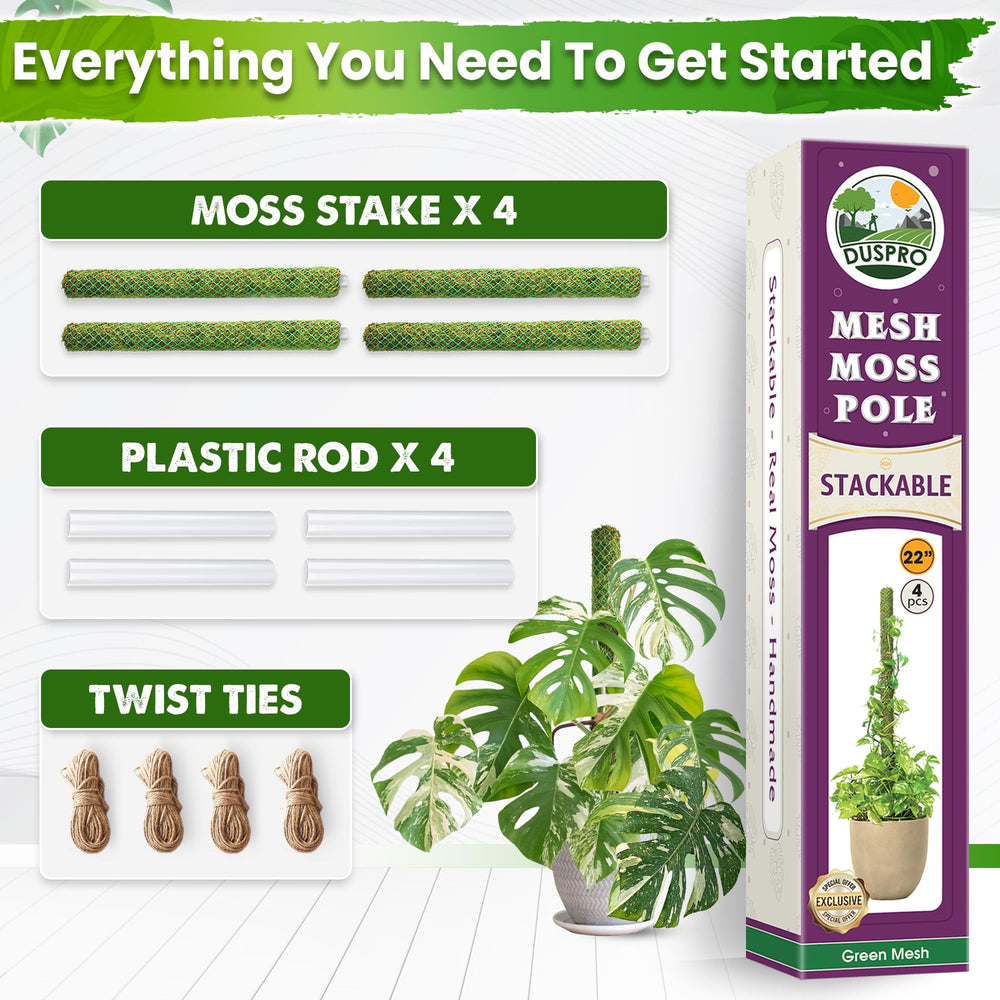 Duspro moss pole in a planter with climbing plants