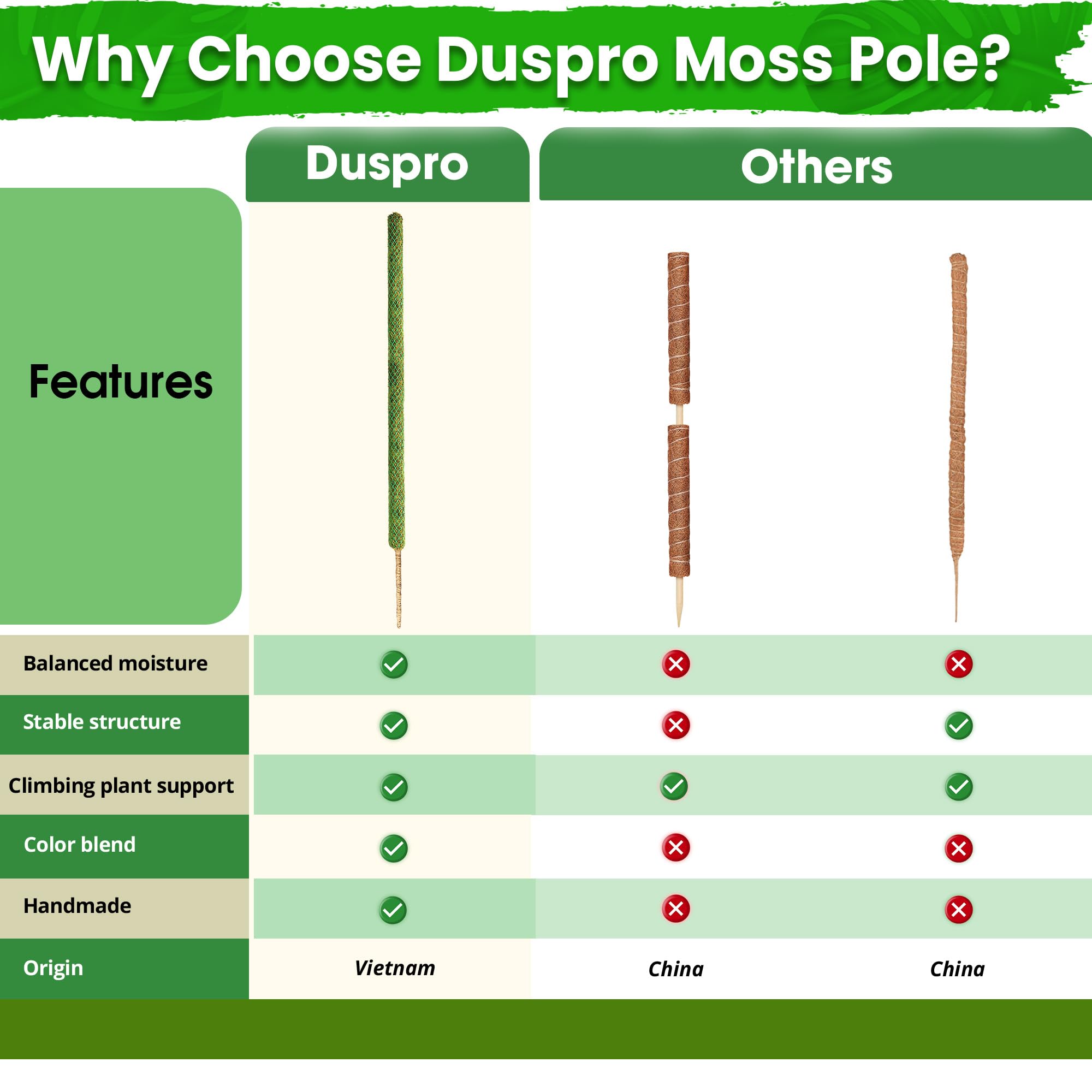 Duspro Moss Pole in Use with Climbing Plants
