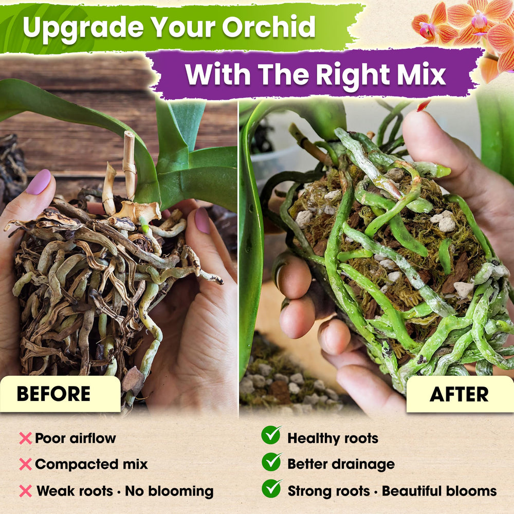 Duspro Orchid Potting Mix 1QT packaging with ingredients listed
