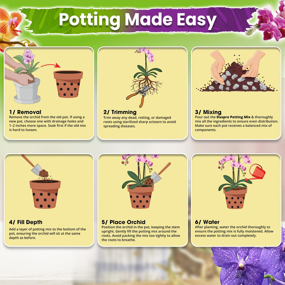 DUSPRO Orchid Potting Mix in use with orchids