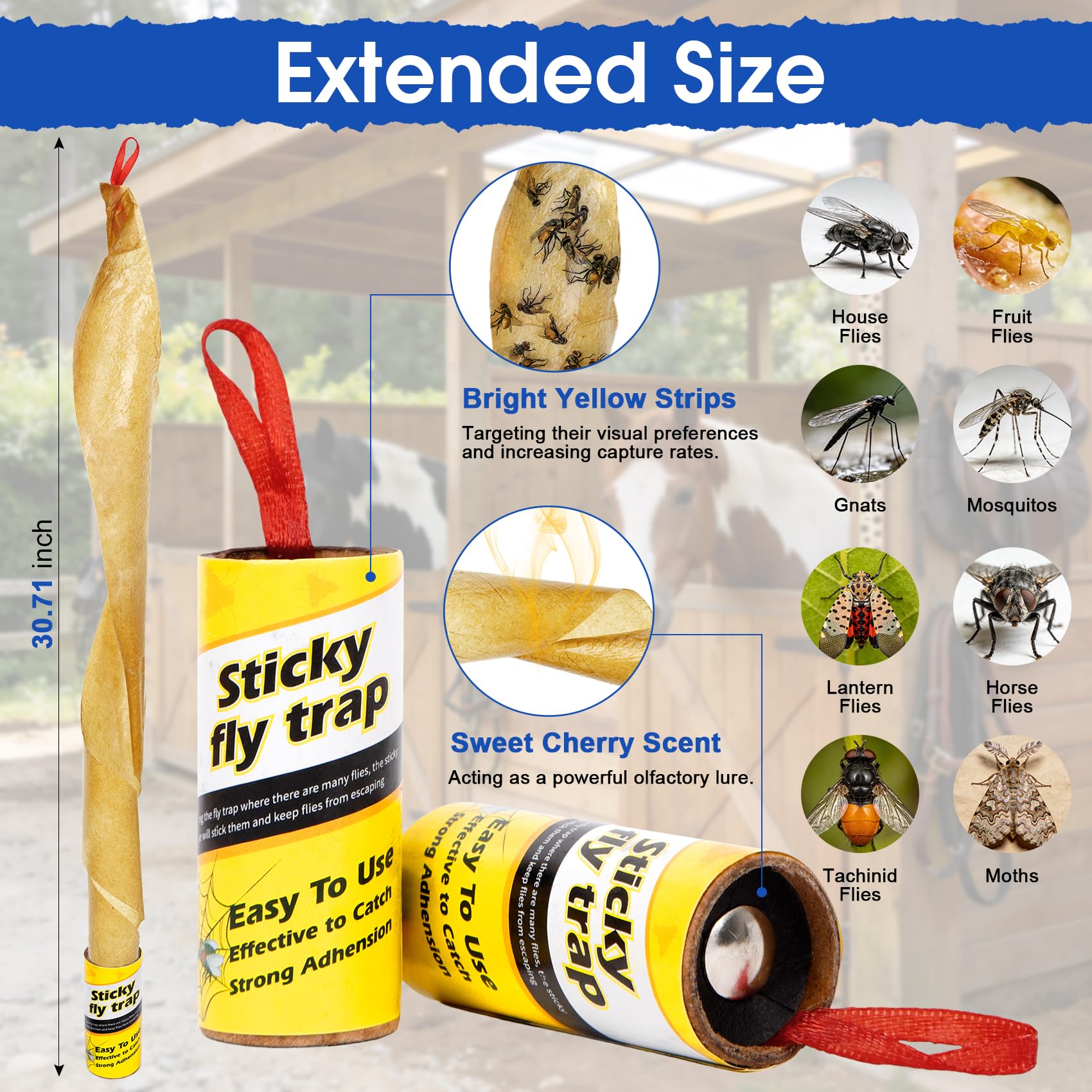 Dwcom Trap Fly Strips with hanging pin for installation