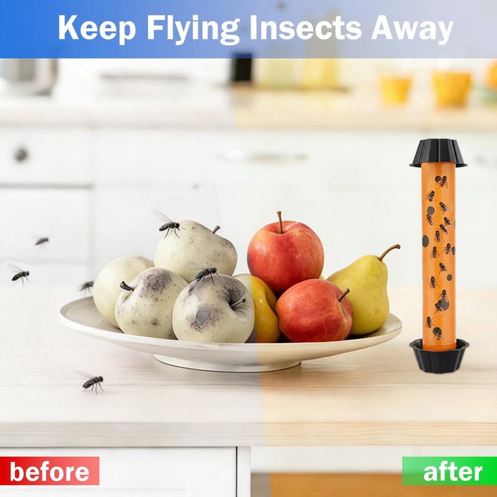 Dwcom Trap Fly Trap Strips placed on a flat indoor surface