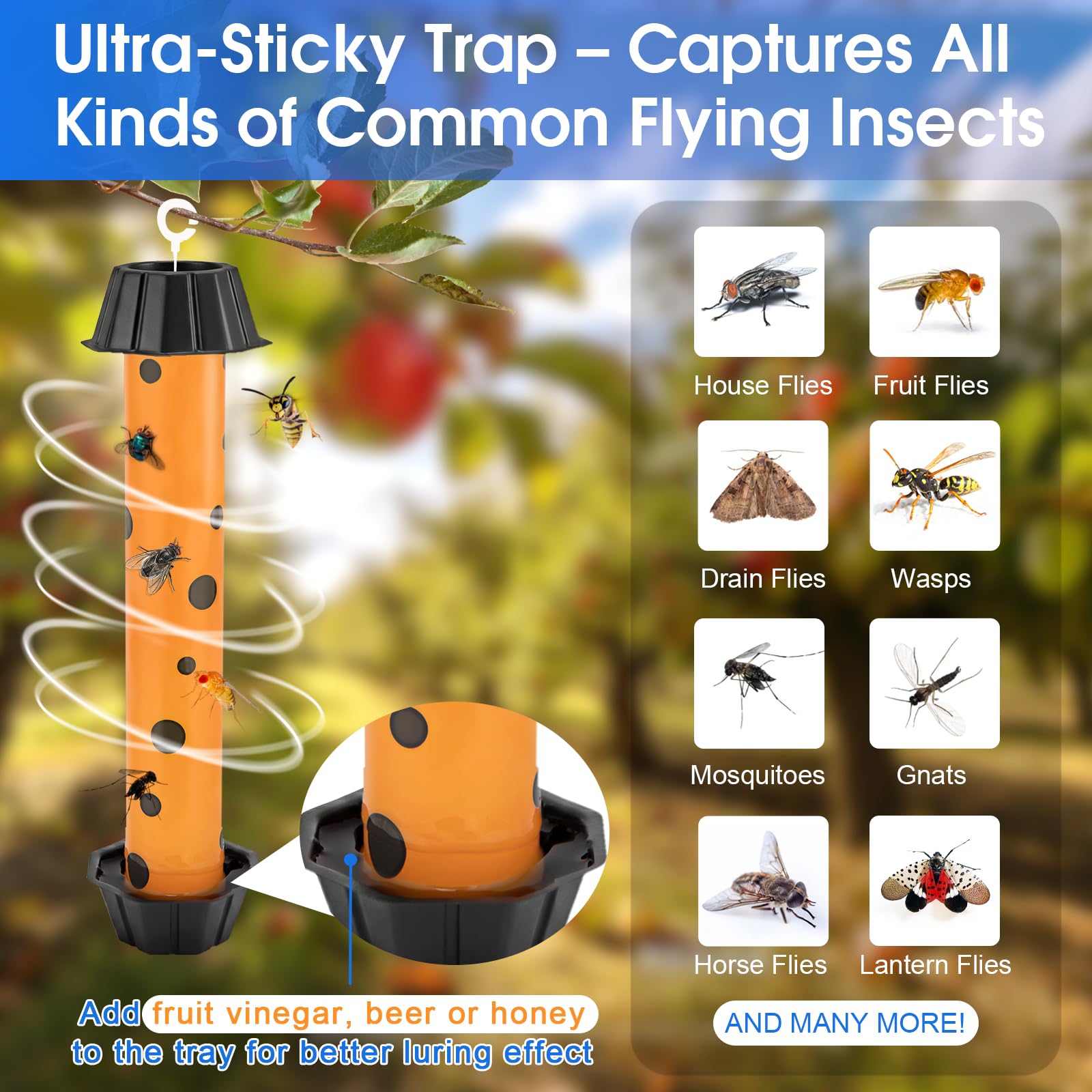 Dwcom Trap Fly Trap Strips showing bait tray feature