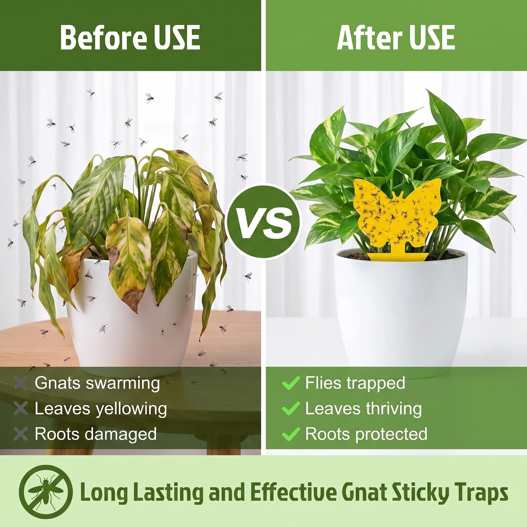 Dwcom Trap yellow sticky traps in indoor garden setting