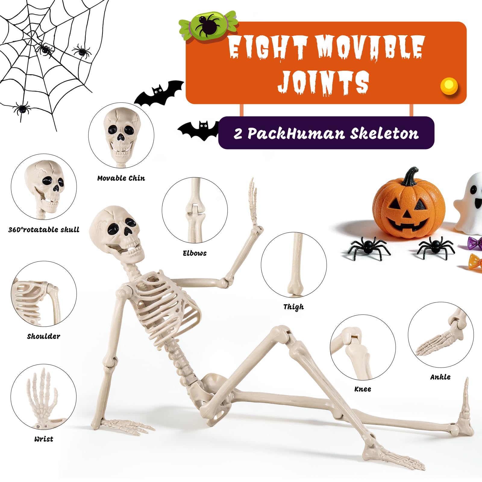 DWTS skeleton hanging from a tree branch
