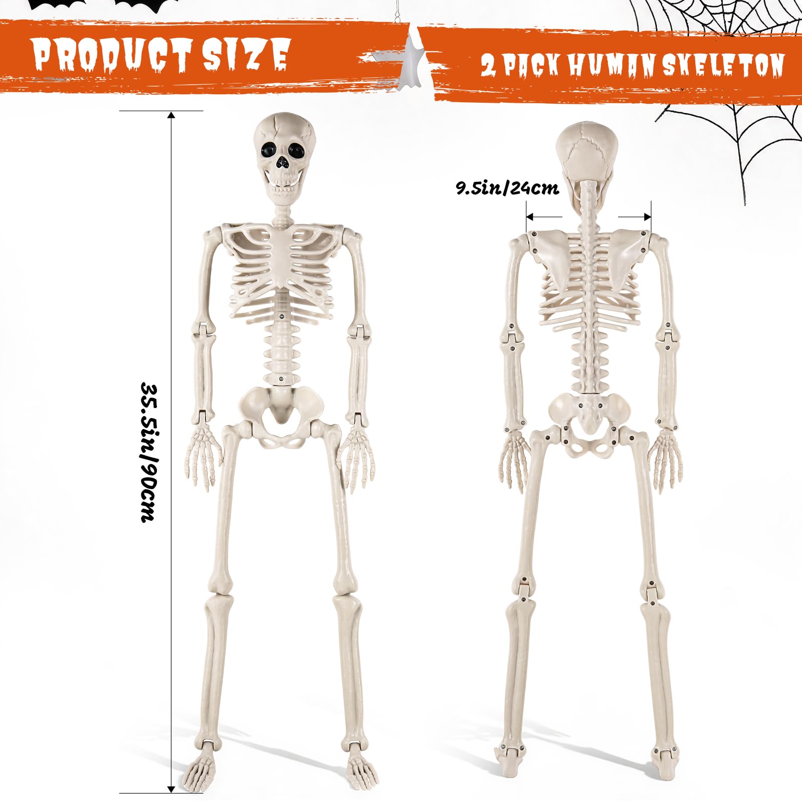 DWTS skeleton with articulated joints in standing pose