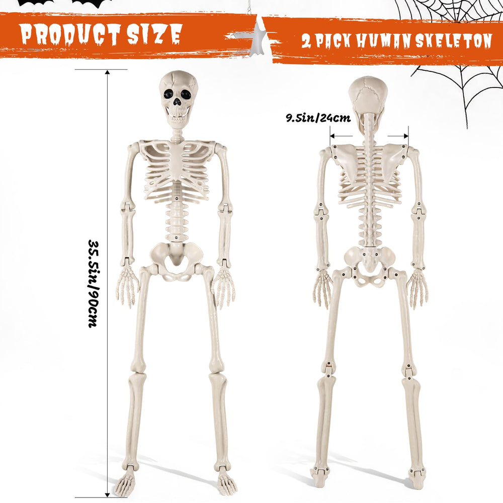 DWTS skeleton with articulated joints in standing pose
