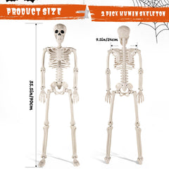DWTS skeleton with articulated joints in standing pose