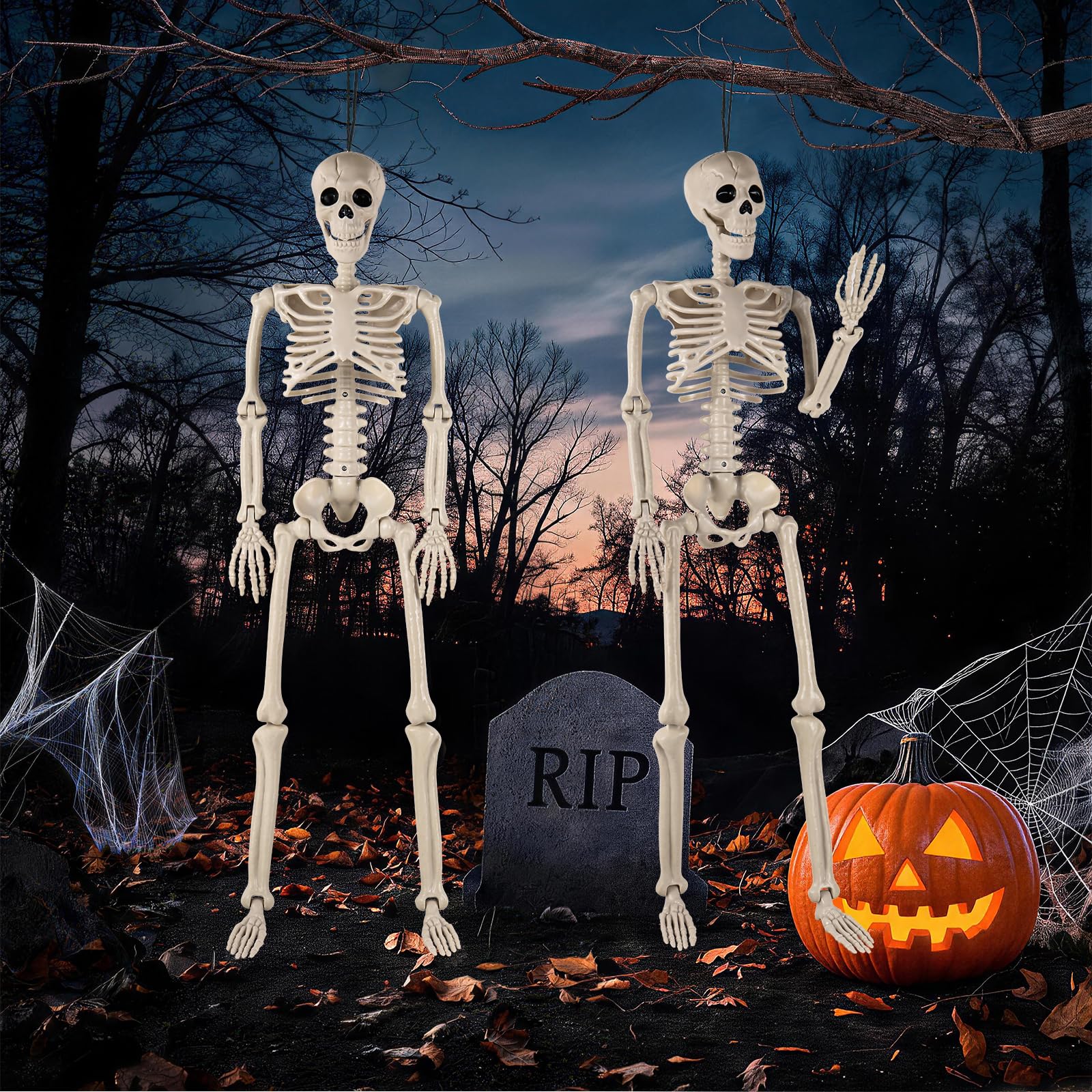 DWTS skeletons displayed indoors for Halloween
