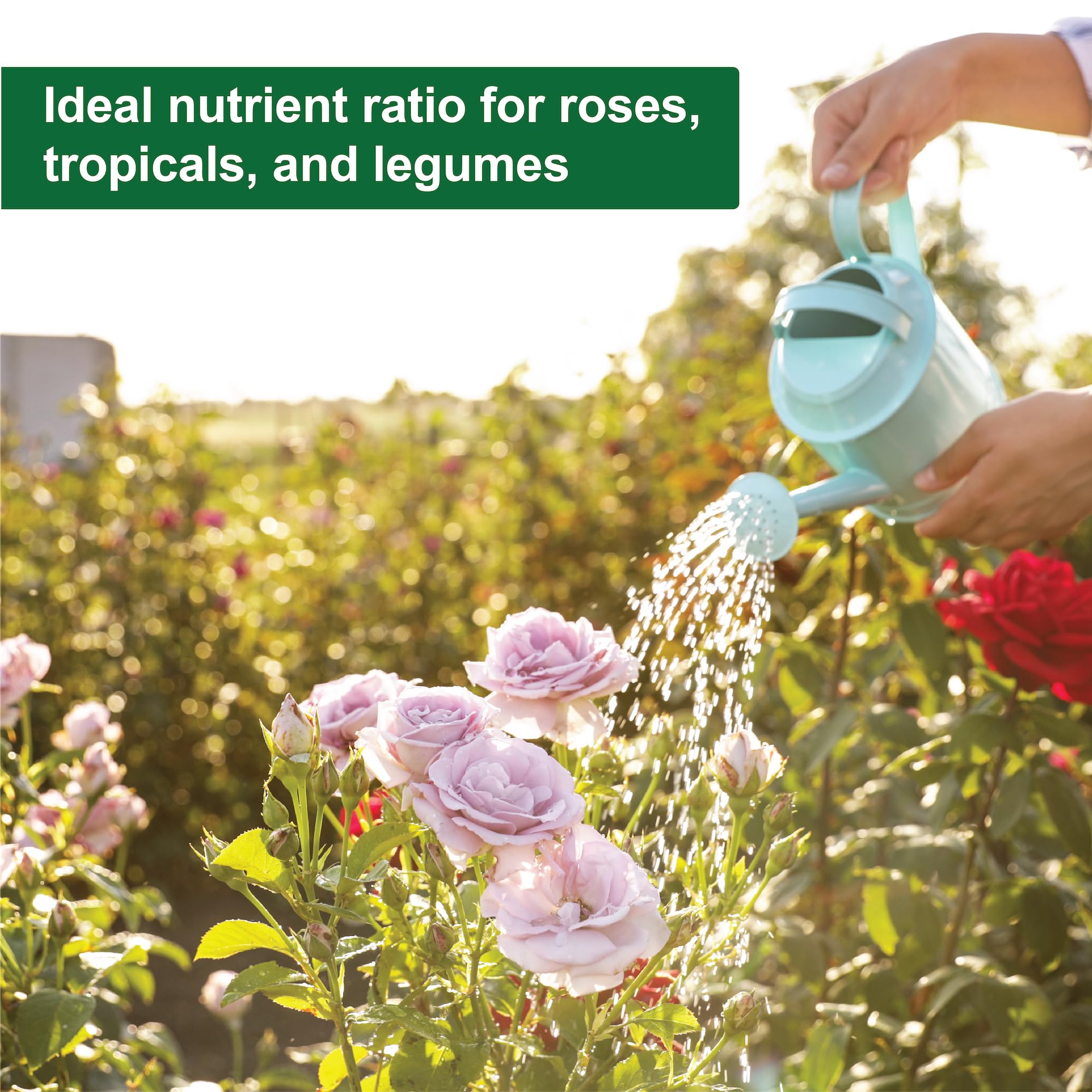 Dyna-Gro Liquid Fertilizer in a gardening setup