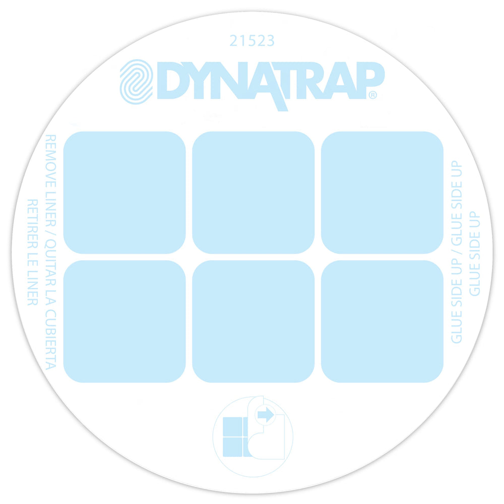 DynaTrap glue card next to insect trap