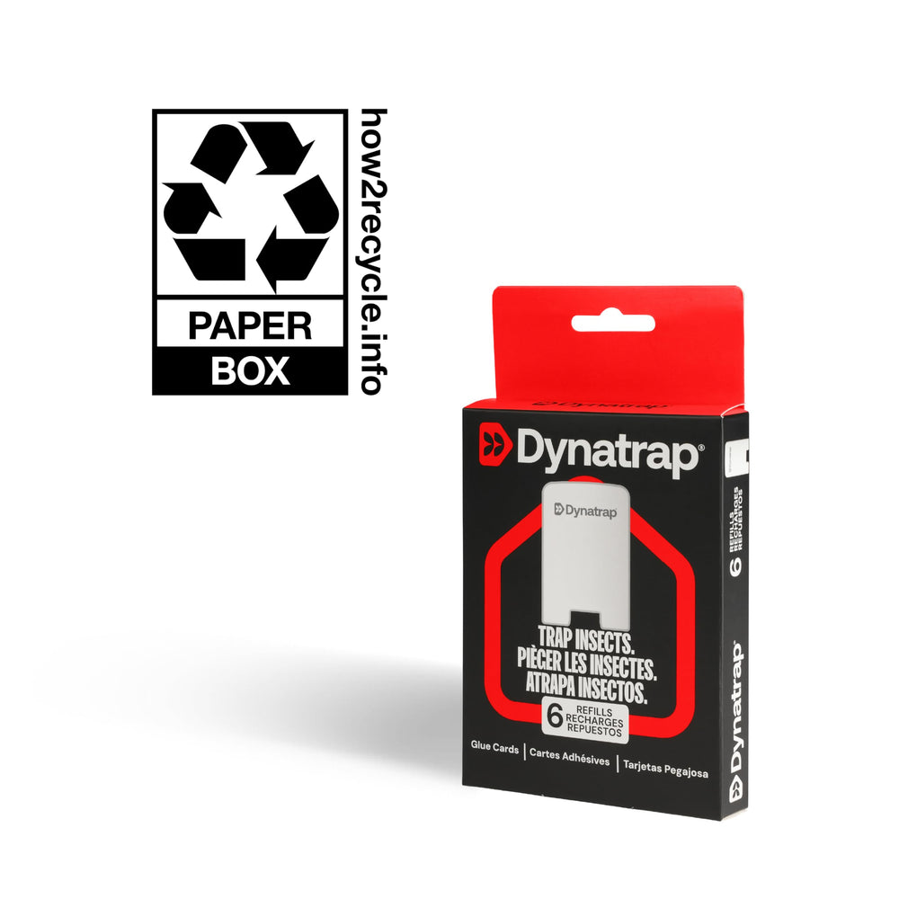DynaTrap glue cards in a clean, mess-free environment