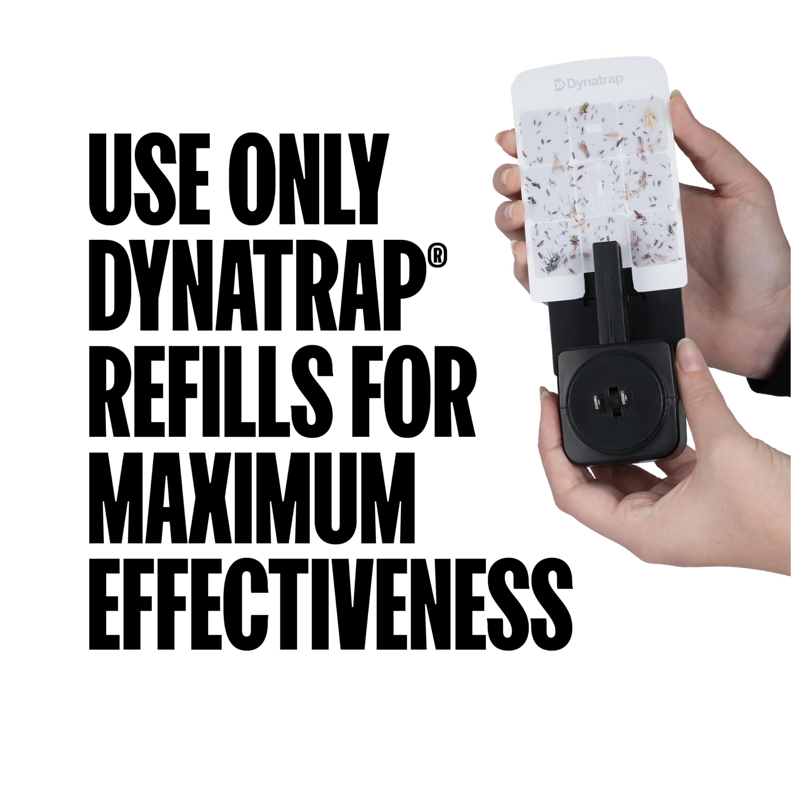 DynaTrap trap with glue card catching flying insects