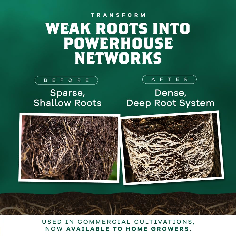 DYNOMYCO Mycorrhizal Fungi Inoculant application on soil