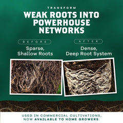 DYNOMYCO Mycorrhizal Fungi Inoculant granular texture close-up