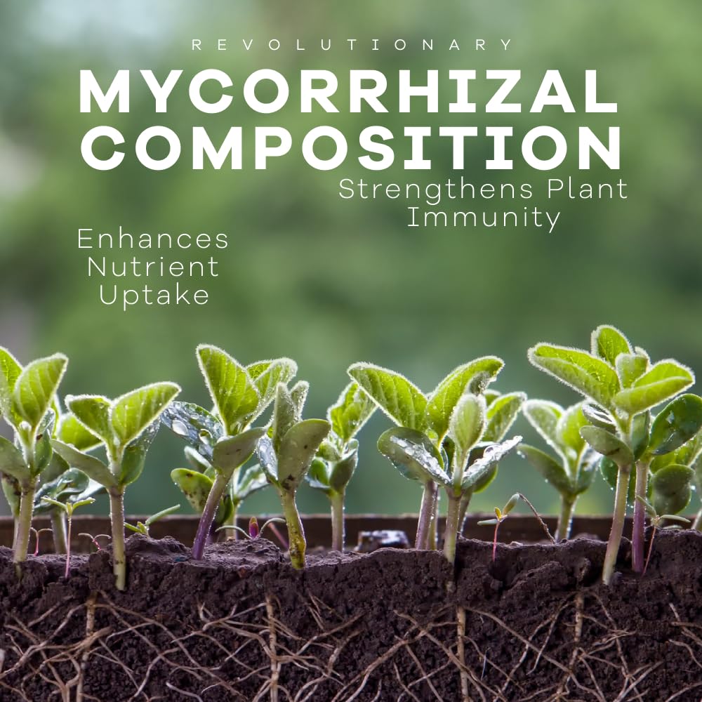 DYNOMYCO Mycorrhizal Fungi Inoculant powder close up