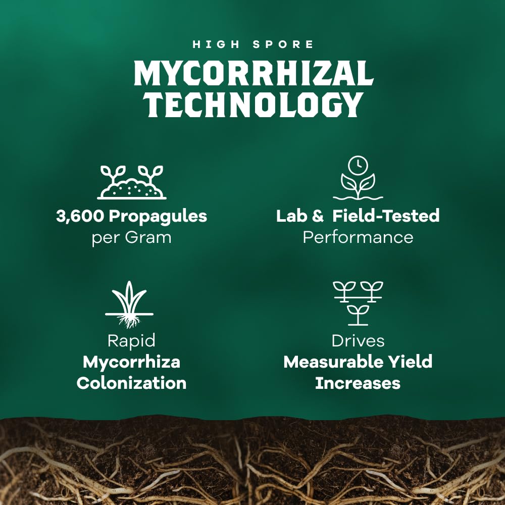 DYNOMYCO Spark Mycorrhizal Fungi powder texture close-up