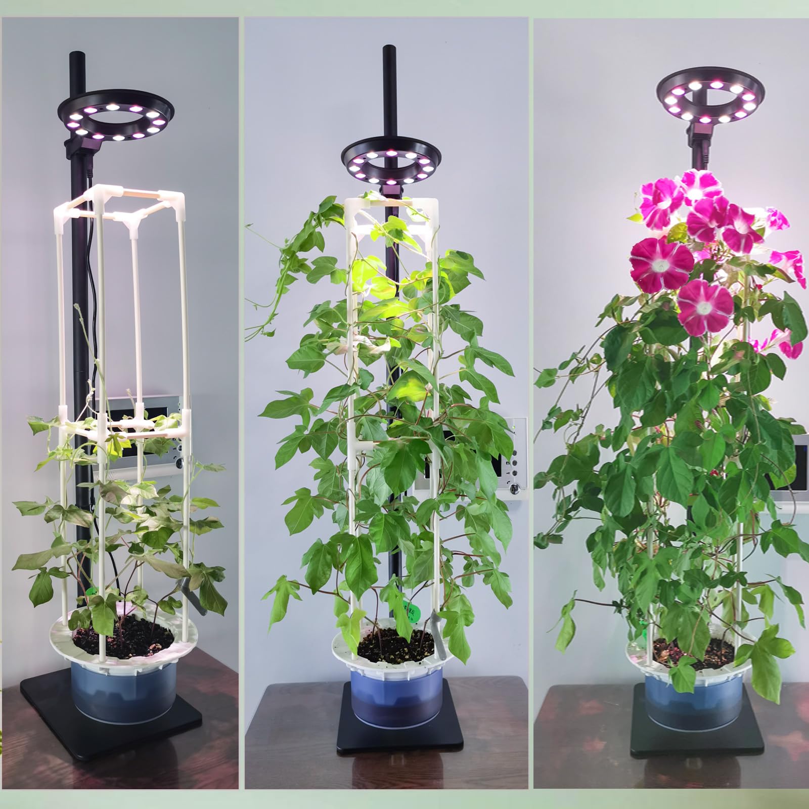E SUPEREGROW Indoor Plant Hydroponics System in a modern living space