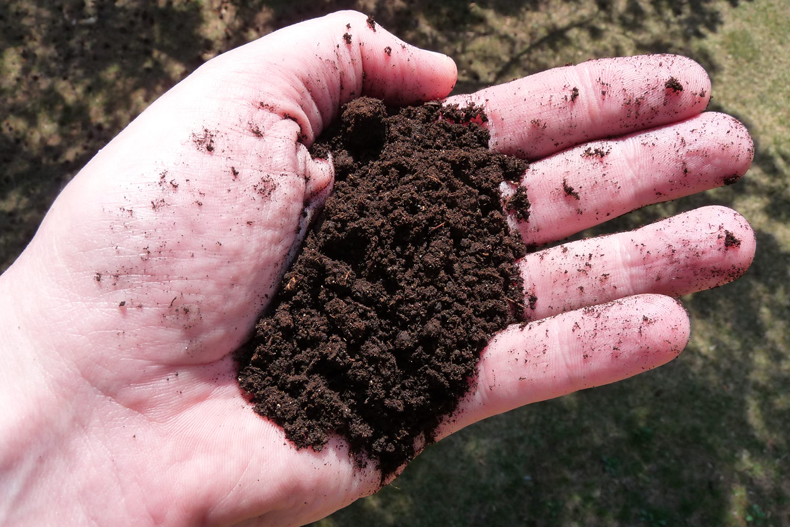 Earth Science Earthworm Castings being applied in a garden