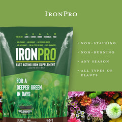 Earth Science IronPro Lawn Supplement application on grass