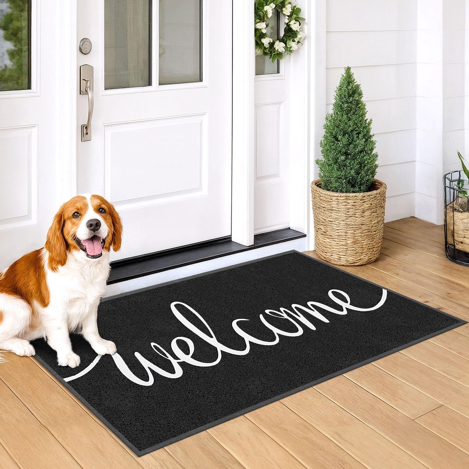 EARTHALL Funny Welcome Mat packaging layout