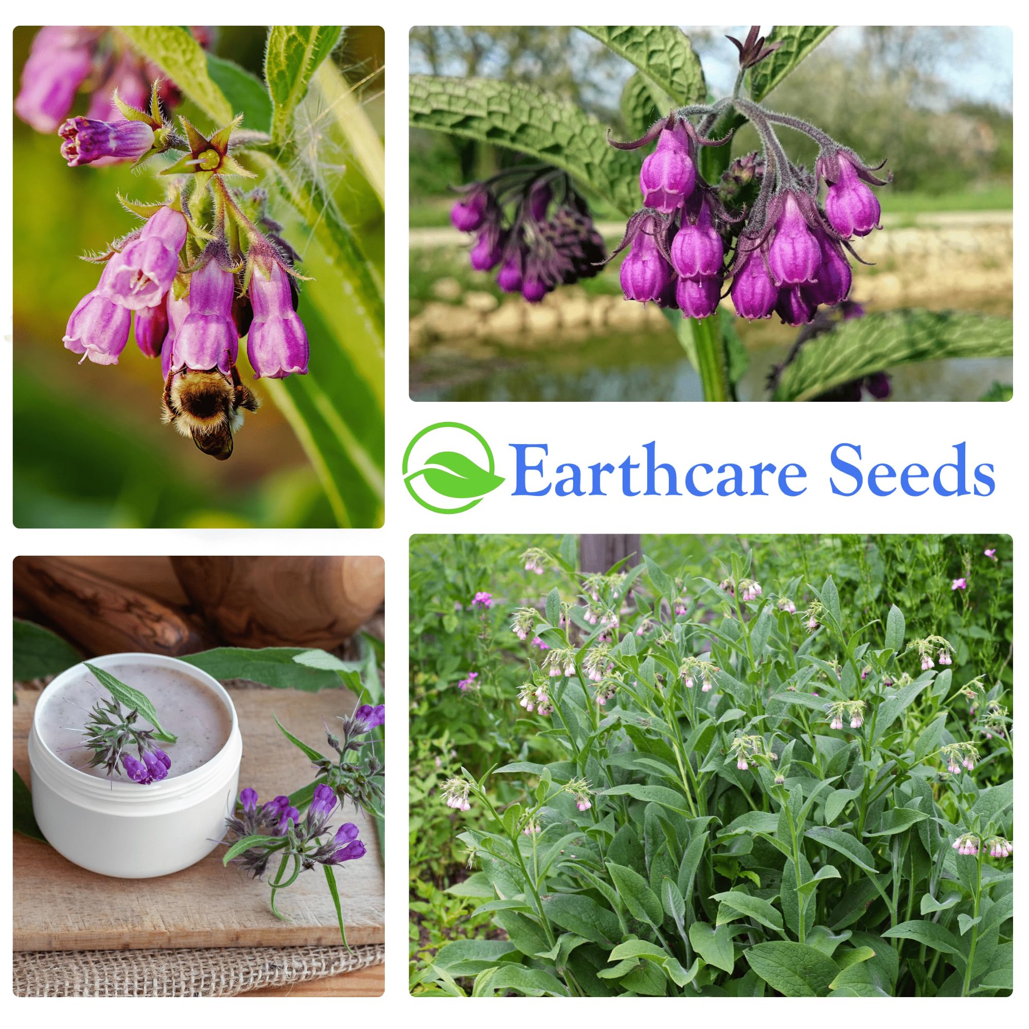 Earthcare Seeds packaging for comfrey seeds