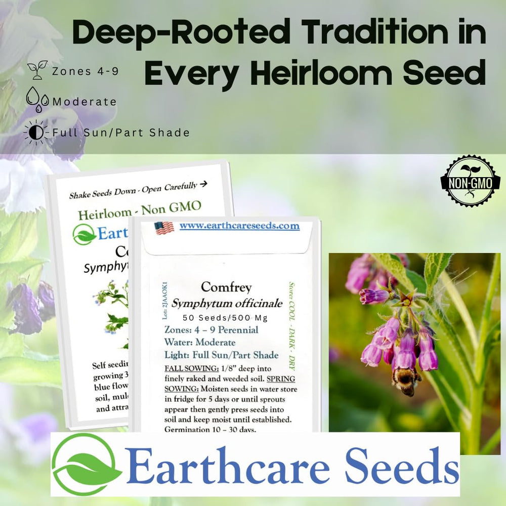 Earthcare Seeds True Comfrey seeds close-up