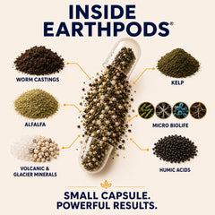EarthPods Hibiscus Fertilizer capsules in a garden setting