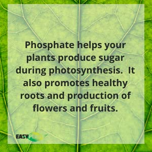 Easy Peasy fertilizer packaging with product details
