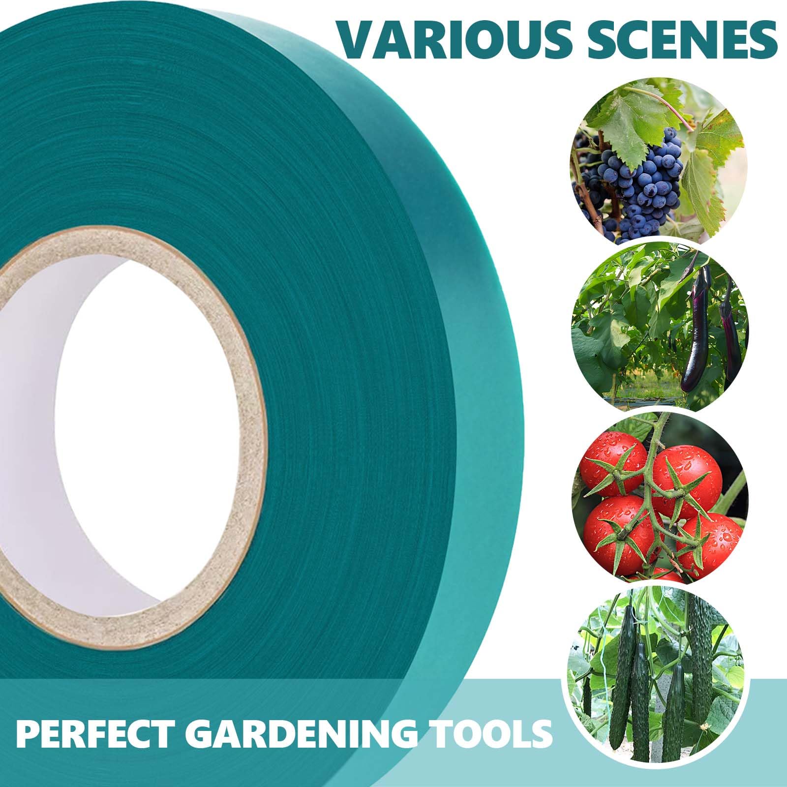 Easytle Stretch Tie Tape Roll being used to tie tomato plants