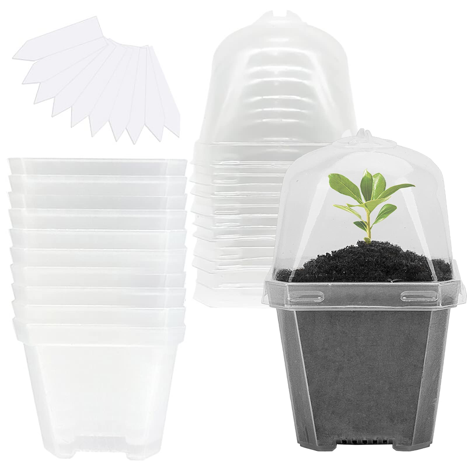 EBaokuup 4" clear plant nursery pot with humidity dome front view