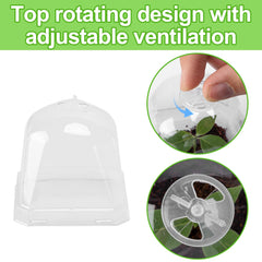 EBaokuup 4" clear plant nursery pot with label and humidity dome