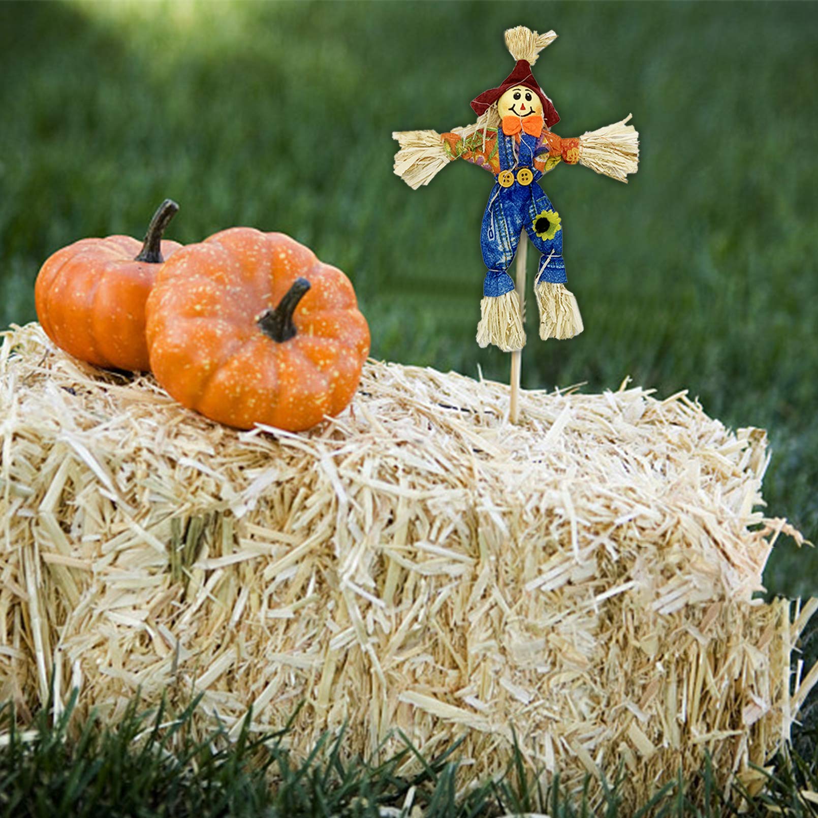 EBaokuup Halloween scarecrows inserted into garden soil