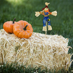 EBaokuup Halloween scarecrows inserted into garden soil