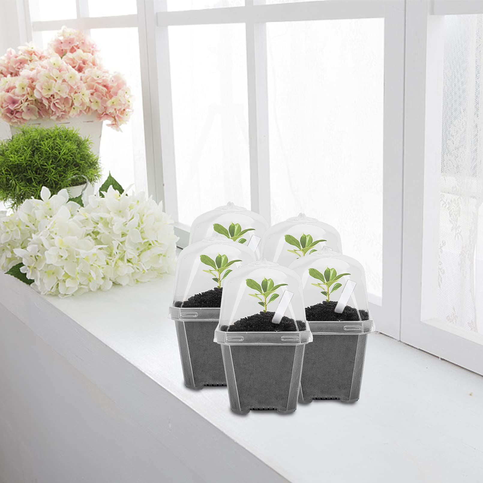 EBaokuup nursery pot in a gardener's hands outdoors