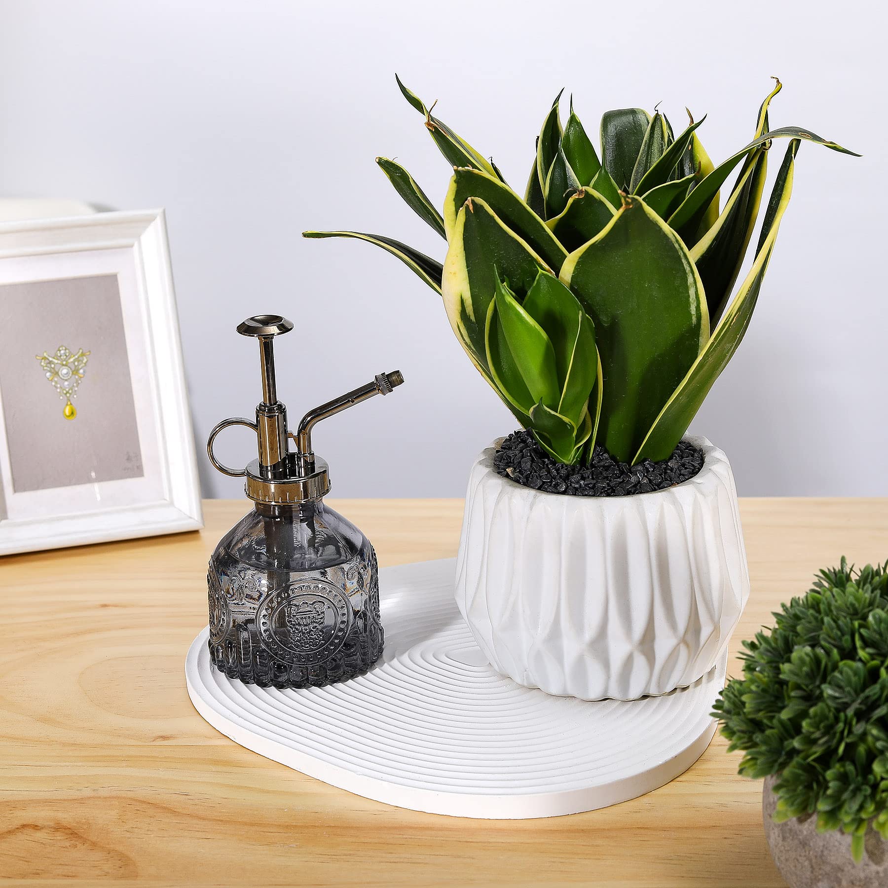Ebristar plant mister in a gift box ready for presentation
