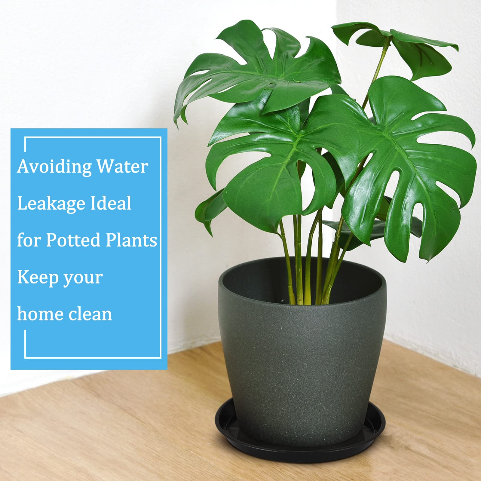 Eccliy 6 Pack Plant Saucer in garden setting