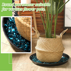 Eccliy black plant saucer on a table with potted plants