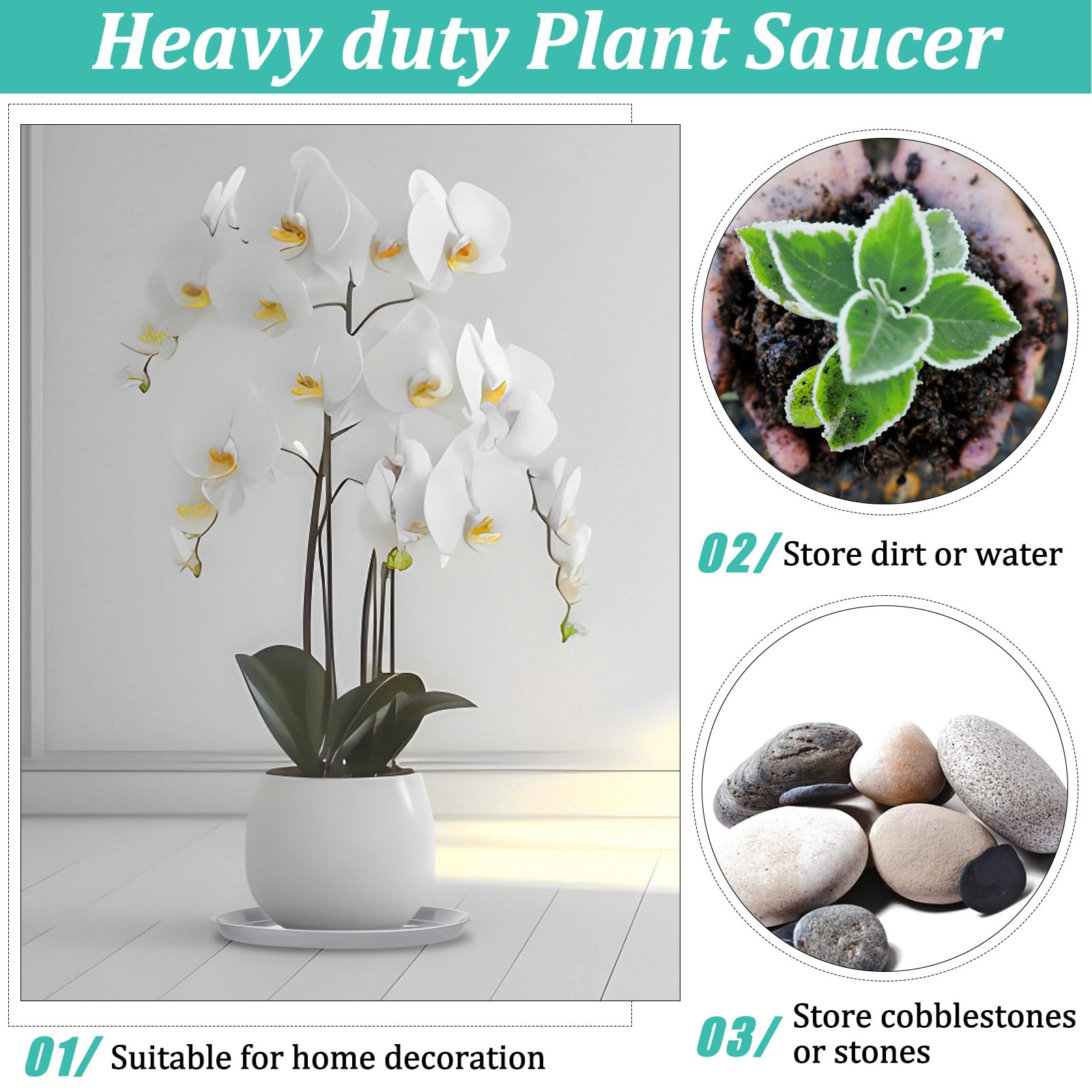 Eccliy plant saucer in a garden setting with potted plants
