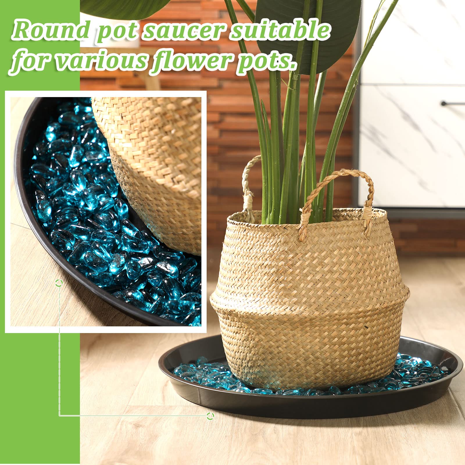 Eccliy plant saucers displayed with colorful pebbles