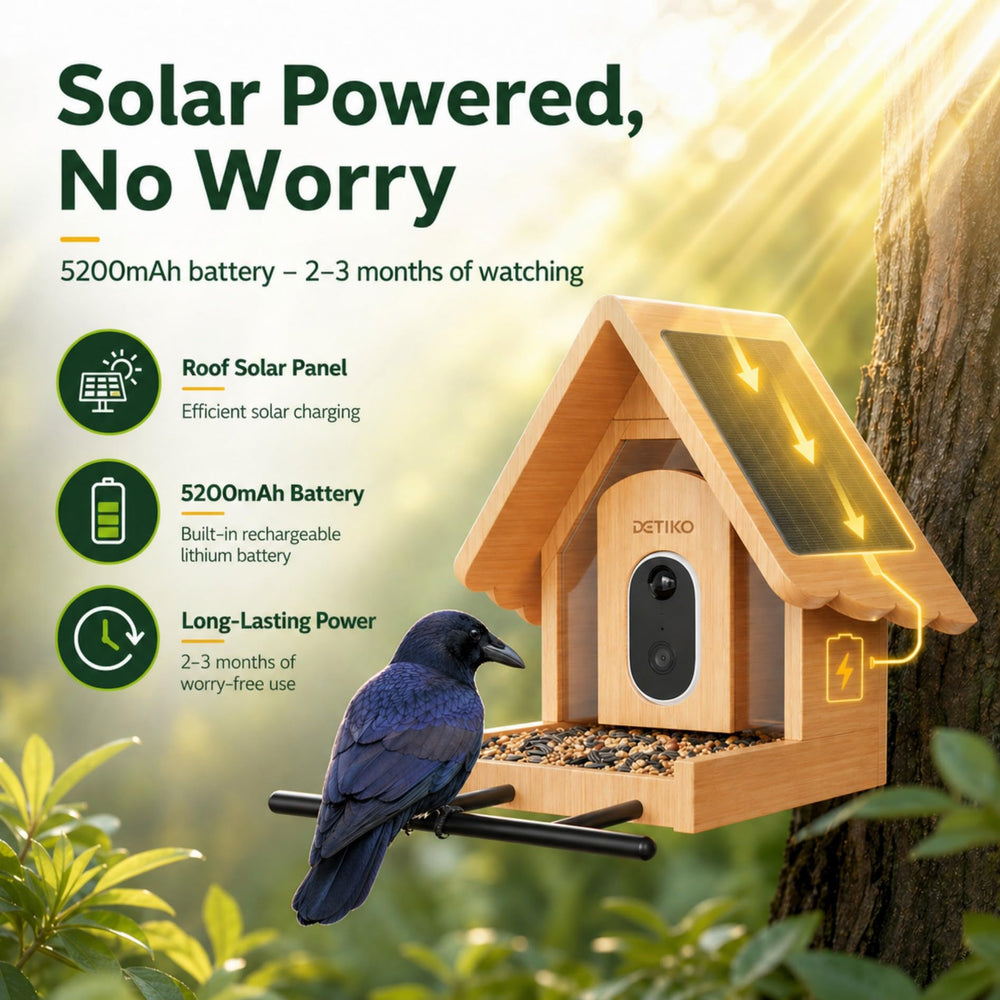 Eco-friendly bamboo construction of DETIKO Smart Bird Feeder