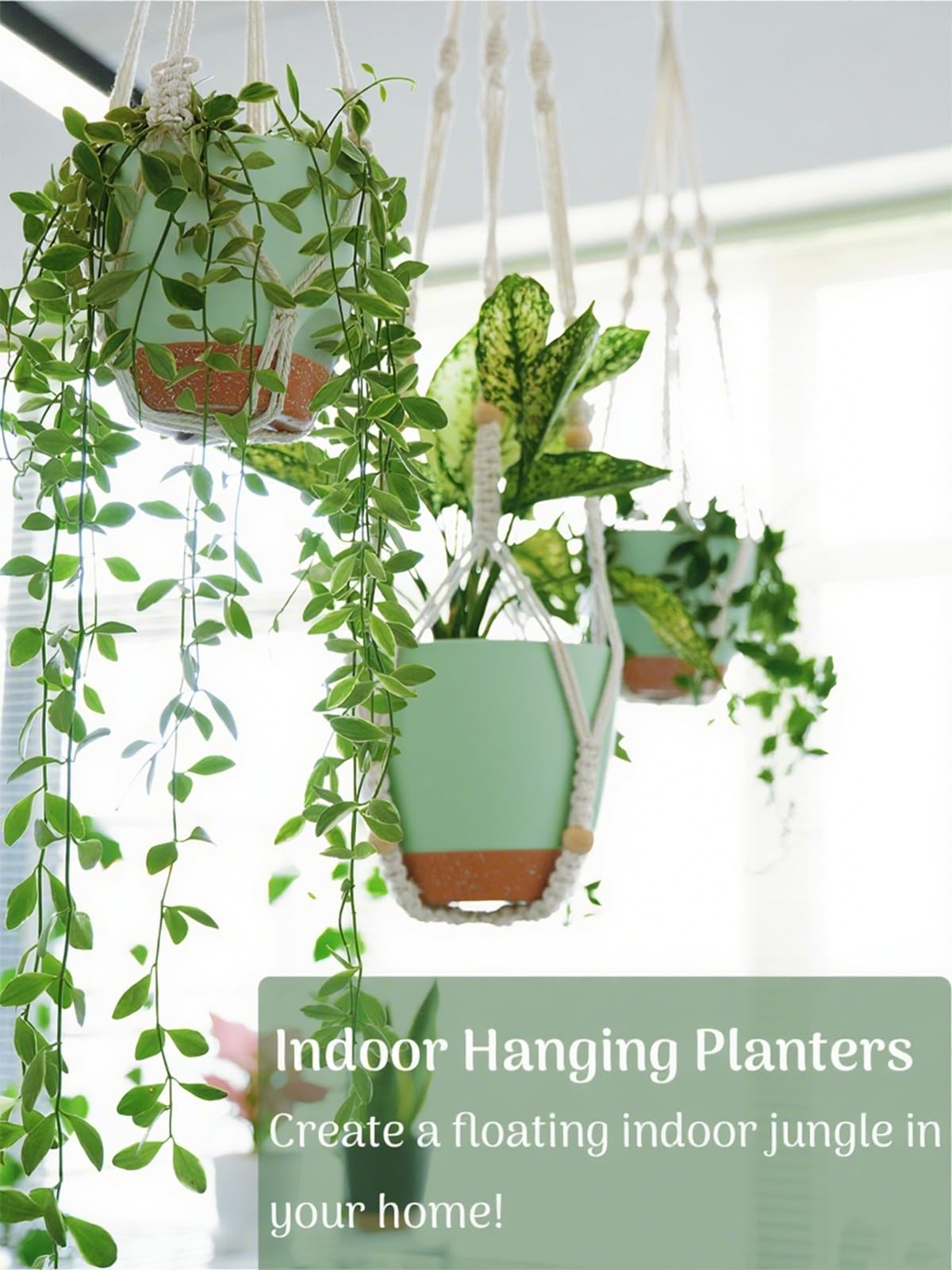 Eco-friendly Bouqlife hanging planter materials and design