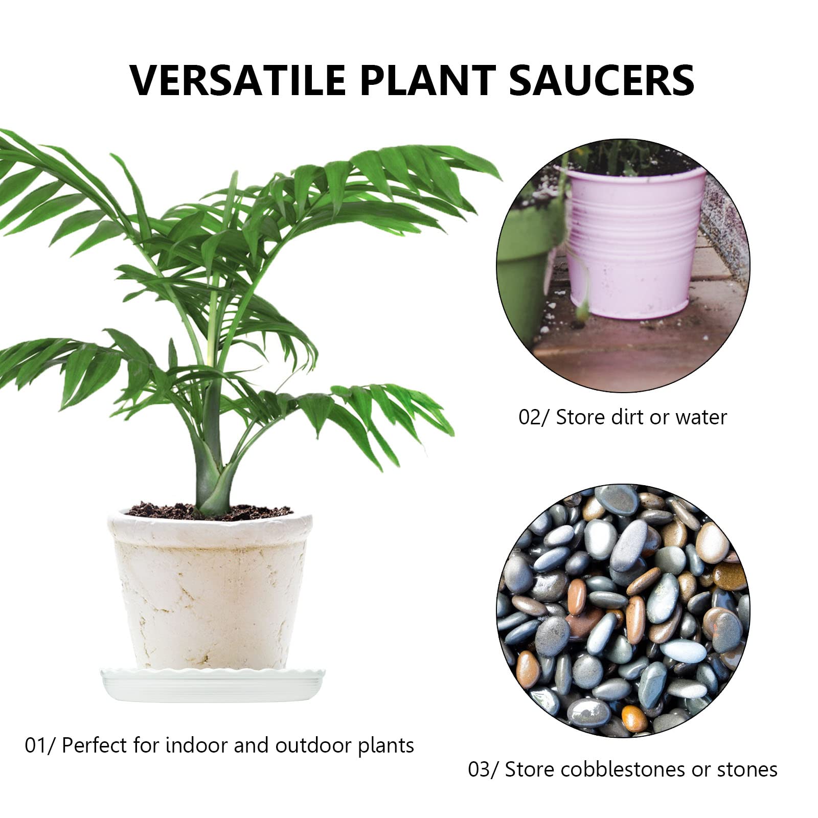 ECOESPTI 5 Inch Plant Saucer with indoor plant