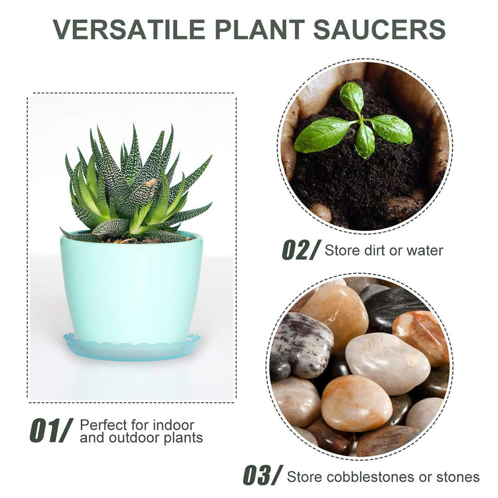 ECOESPTI Clear Plant Saucer with decorative rocks