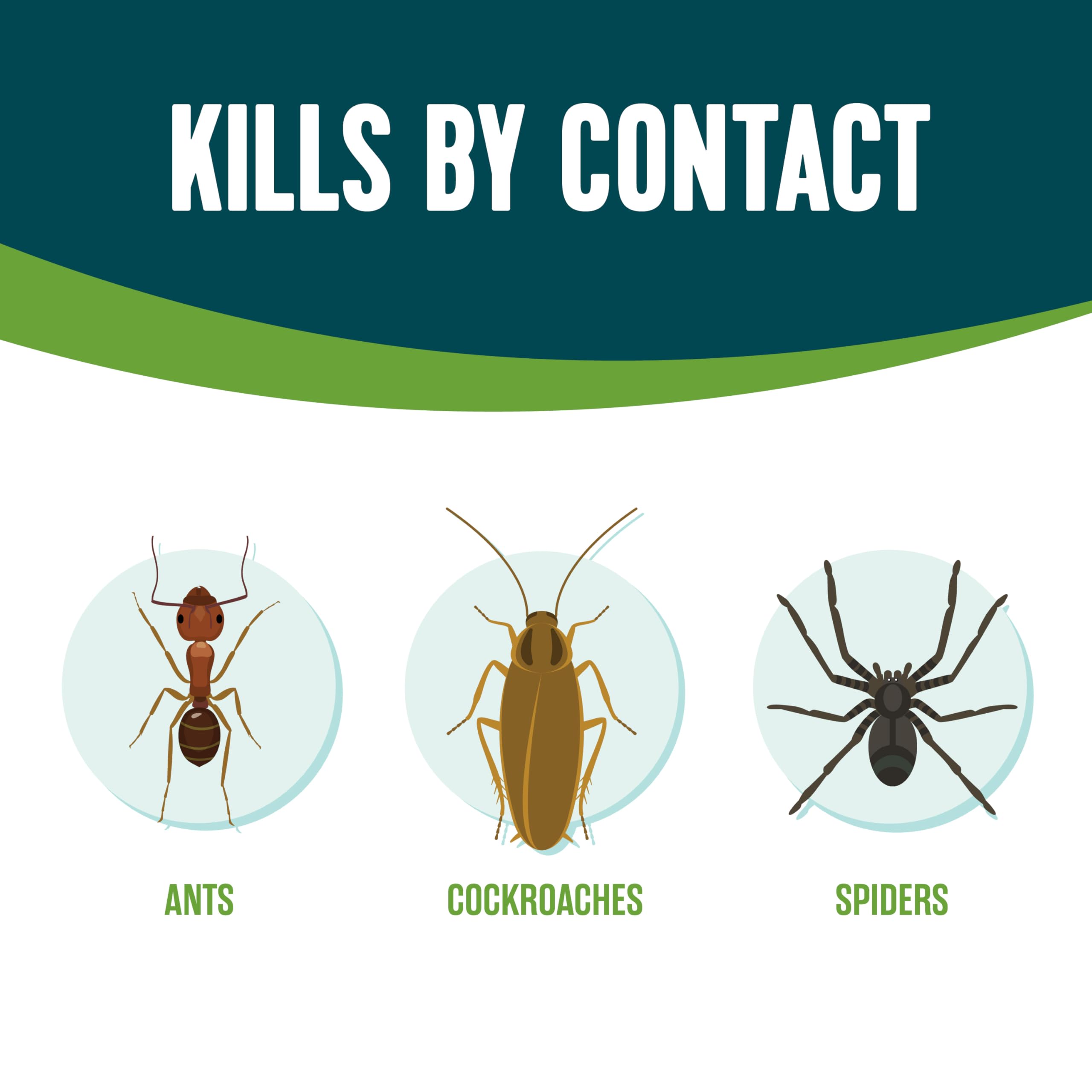 EcoLogic Ant & Roach Killer can side view with label