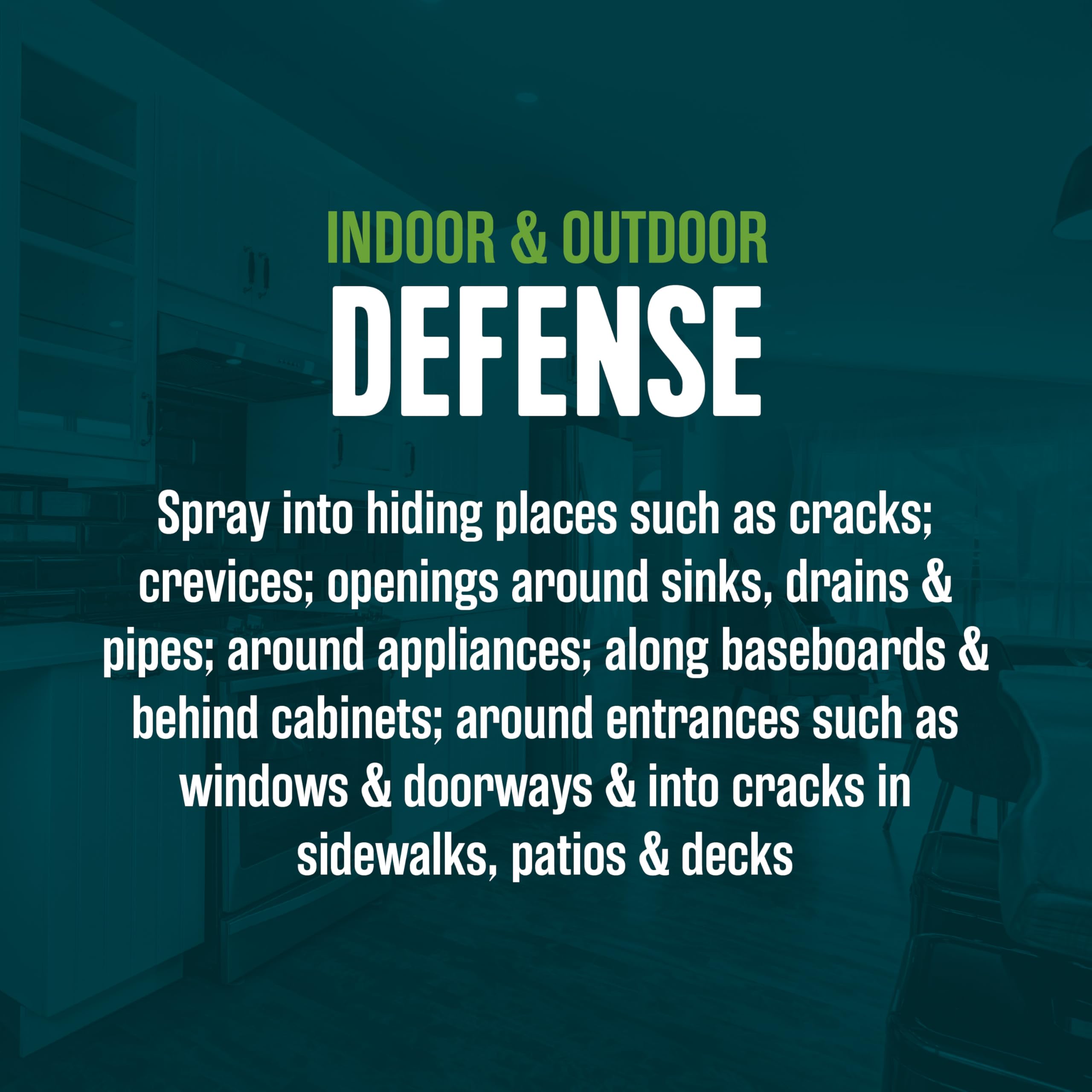 EcoLogic Ant & Roach Killer spray in indoor setting
