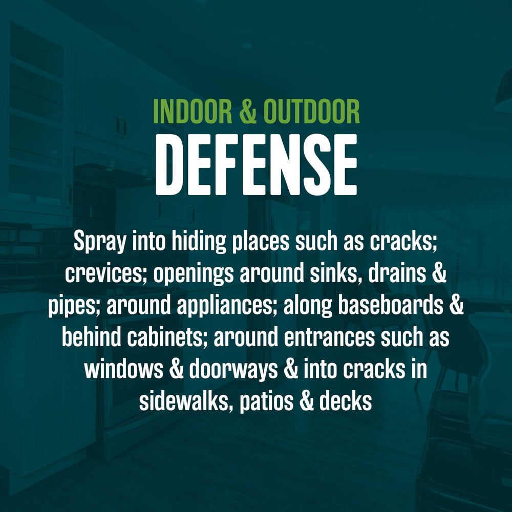EcoLogic Ant & Roach Killer spray in indoor setting