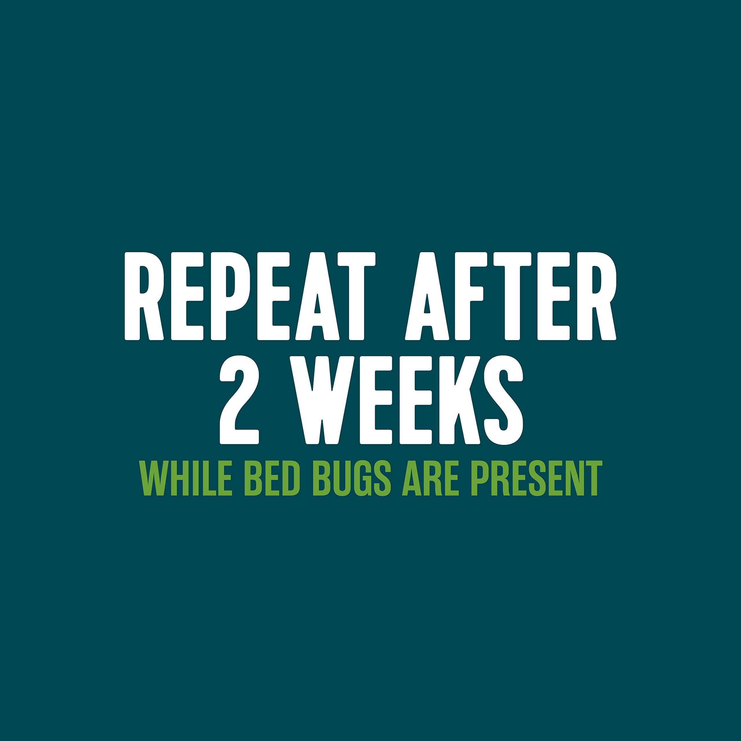 EcoLogic Bed Bug Killer Spray on a table with other pest control products